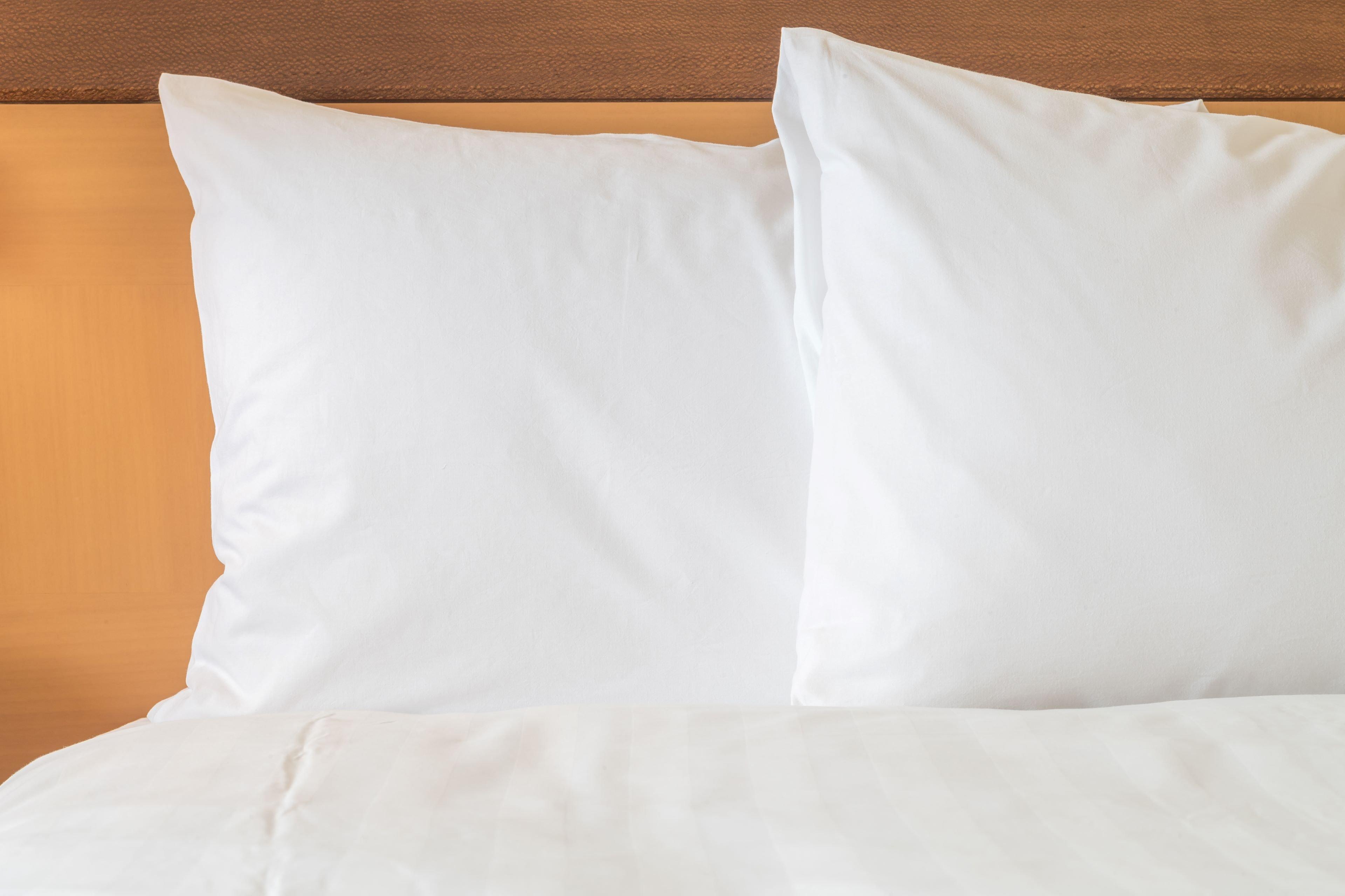 Holiday Inn Express Hotel Fort Campbell-Oak Grove By Ihg Eksteriør billede